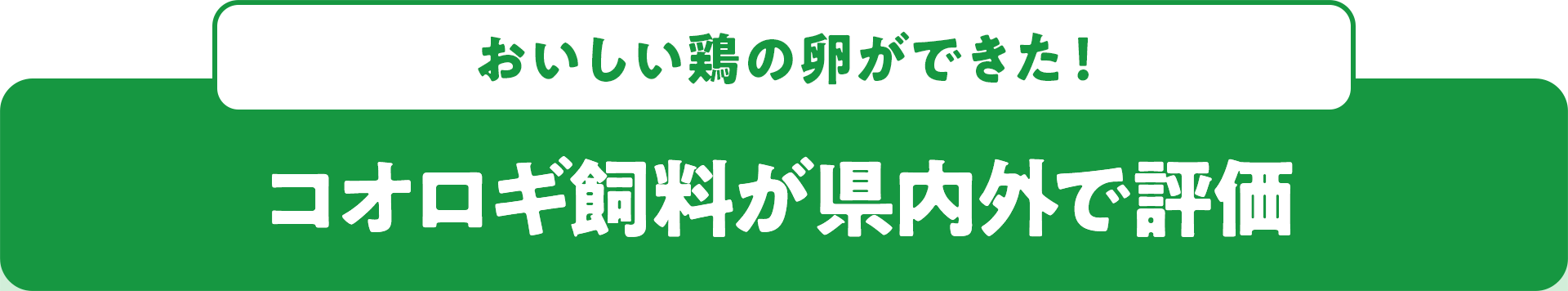 おいしい鶏の卵ができた! コオロギ飼料が県内外で評価