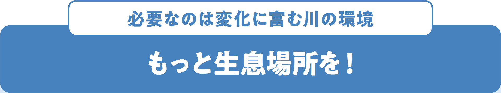 必要なのは変化に富む川の環境 もっと生息場所を!
